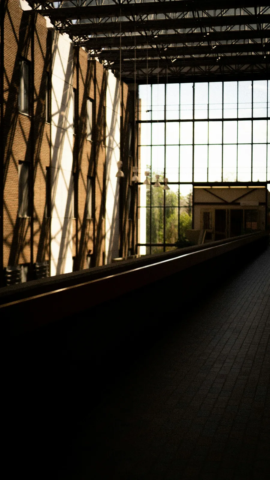 Sunlit atrium at the University of Alberta