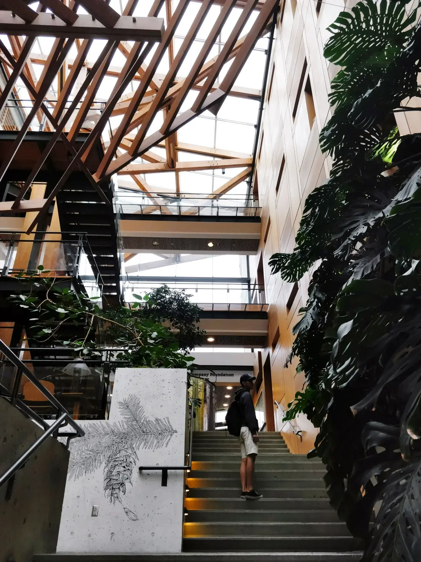 Timber-and-glass atrium on the University of British Columbia campus